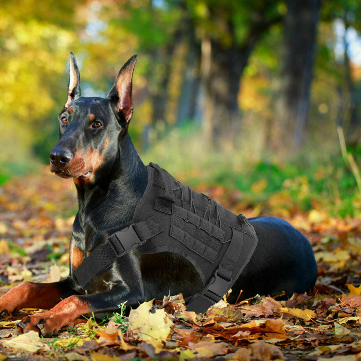 No-pull Dog Harness Pet Puppy Large Dog Vest Adjustable Padded Handle