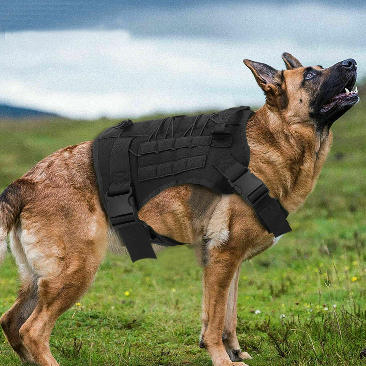 No-pull Dog Harness Pet Puppy Large Dog Vest Adjustable Padded Handle